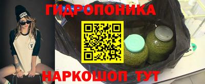 индика Будённовск