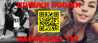 индика Будённовск