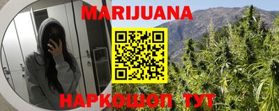индика Будённовск