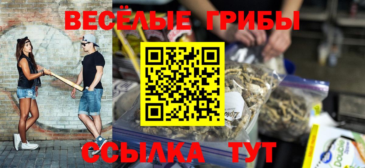 Галлюциногенные грибы Psilocybe Острогожск