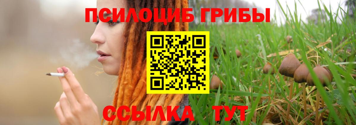 Острогожск  Галлюциногенные грибы Cubensis  Псилоцибиновые грибы мицелий  Вход с VPN 